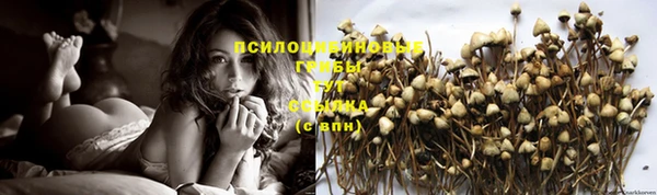 jwh Сатка