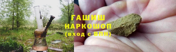 прущие грибы Сафоново