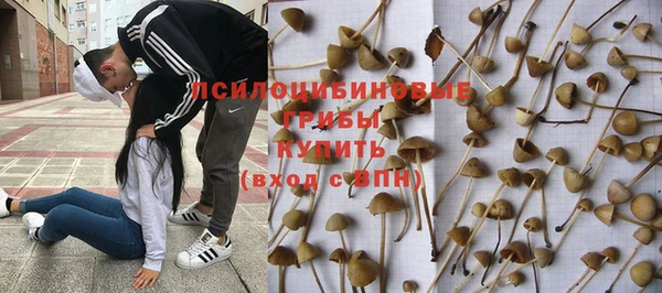 jwh Сатка