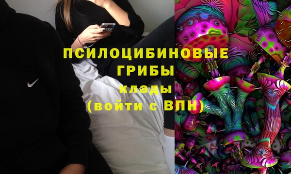 прущие грибы Сафоново