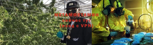 прущие грибы Сафоново